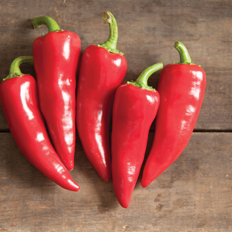 Flaming Flare – Fresno Pepper Seed